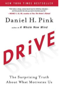 Drive - The truth about what motivates us book cover